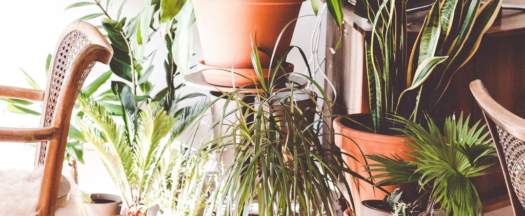 Boost Your Productivity and Mood at Work by Adding This 1 Element to Your Desk