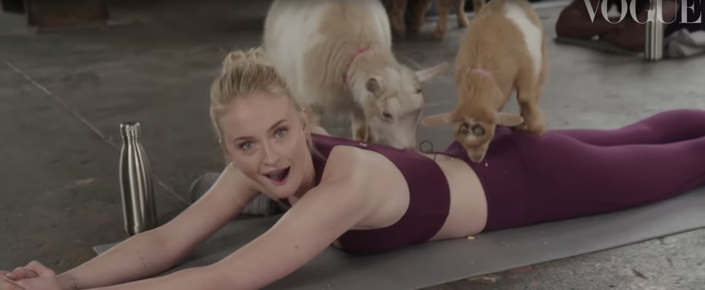 Sophie Turner Doing Goat Yoga Video