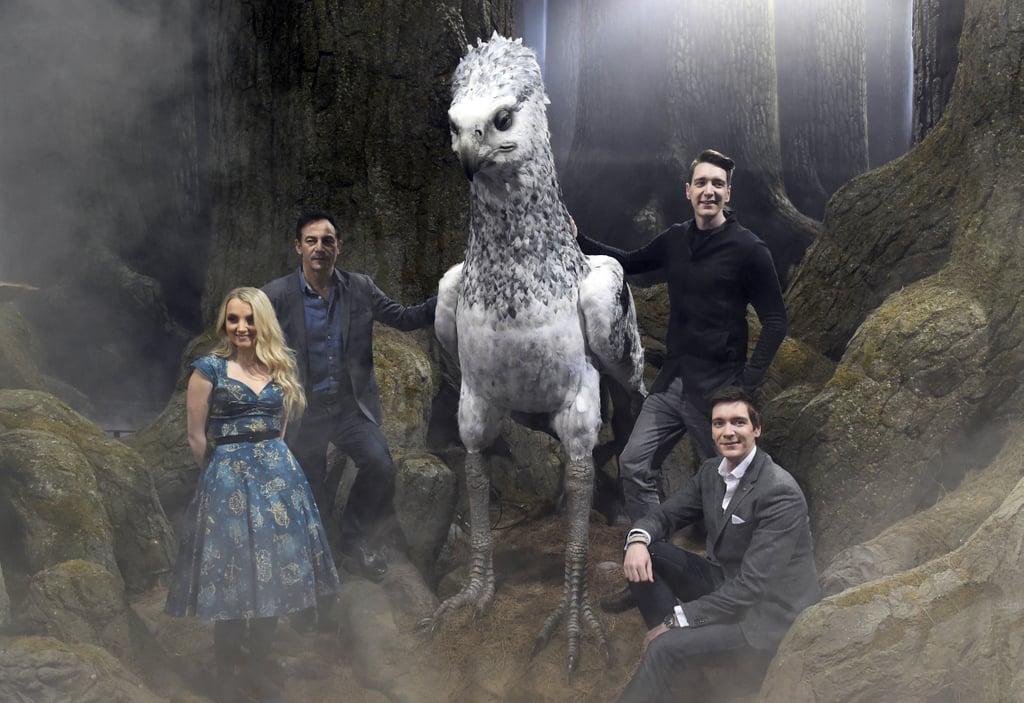 Harry Potter Cast At Forbidden Forest Photos March 2017