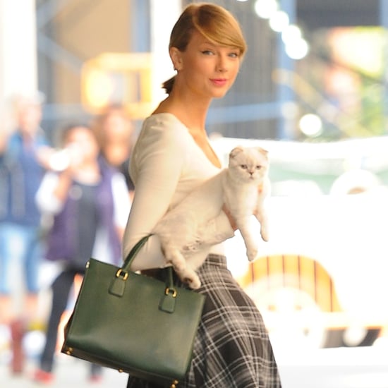 Taylor Swift Dressing Like Cher From Clueless