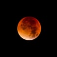 Mark Your Calendars! A (Not Fake) Super Blood Wolf Moon Is Happening This Month