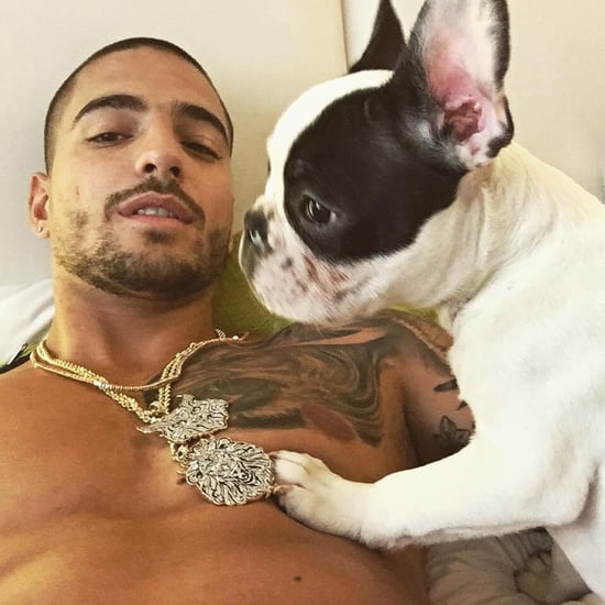 Maluma's Dog, Priti