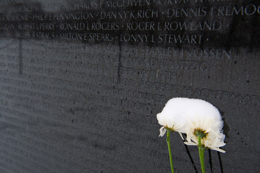 Flowers beside the Vietnam Veterans Memorial were covered in snow.