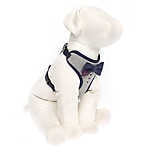 Love Bow Tie Comfort Dog Harness