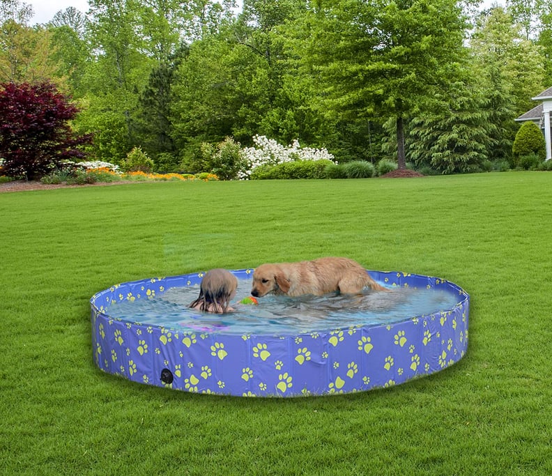 Foldable Dog Pool