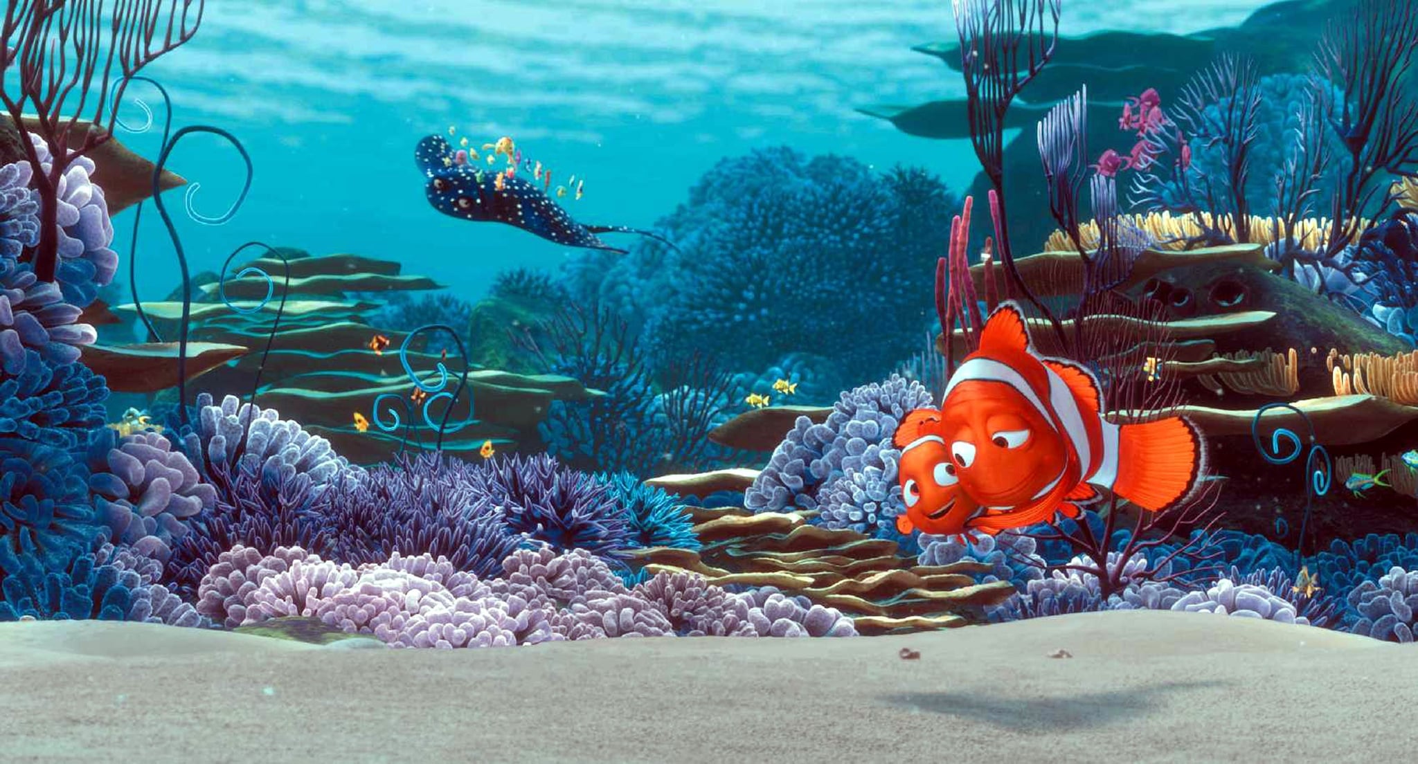 Finding Nemo 11 Real Life Places That Inspired Your Favorite Disney 