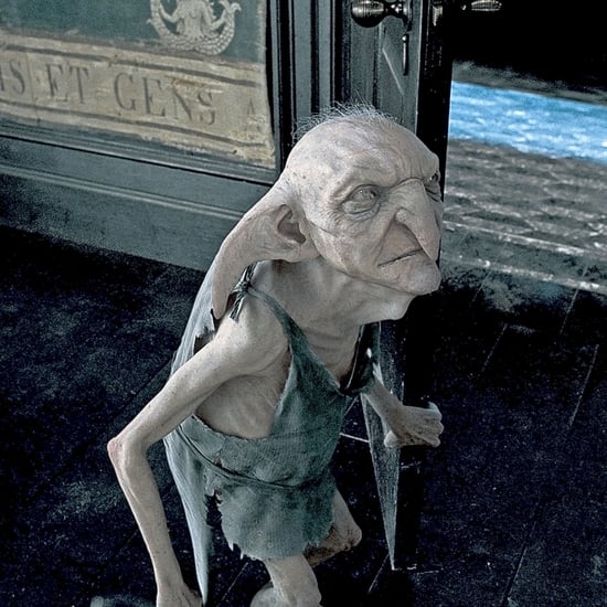 Harry Potter Kreacher Theory