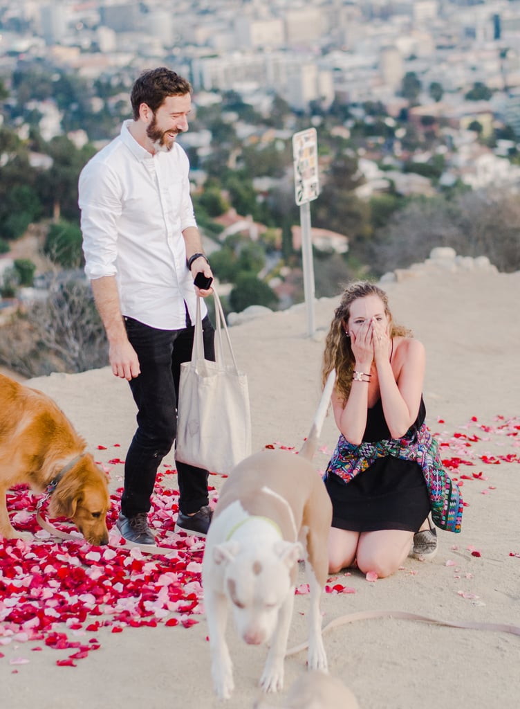 Man Proposes to His Girlfriend With 16 Dogs