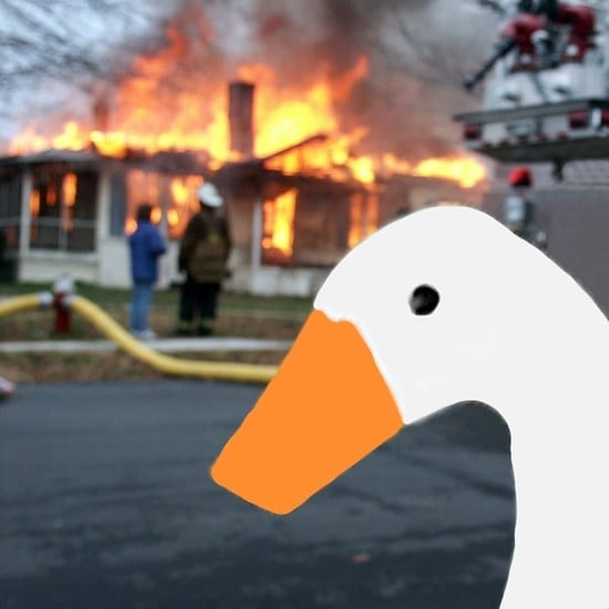 The Best Untitled Goose Game Memes