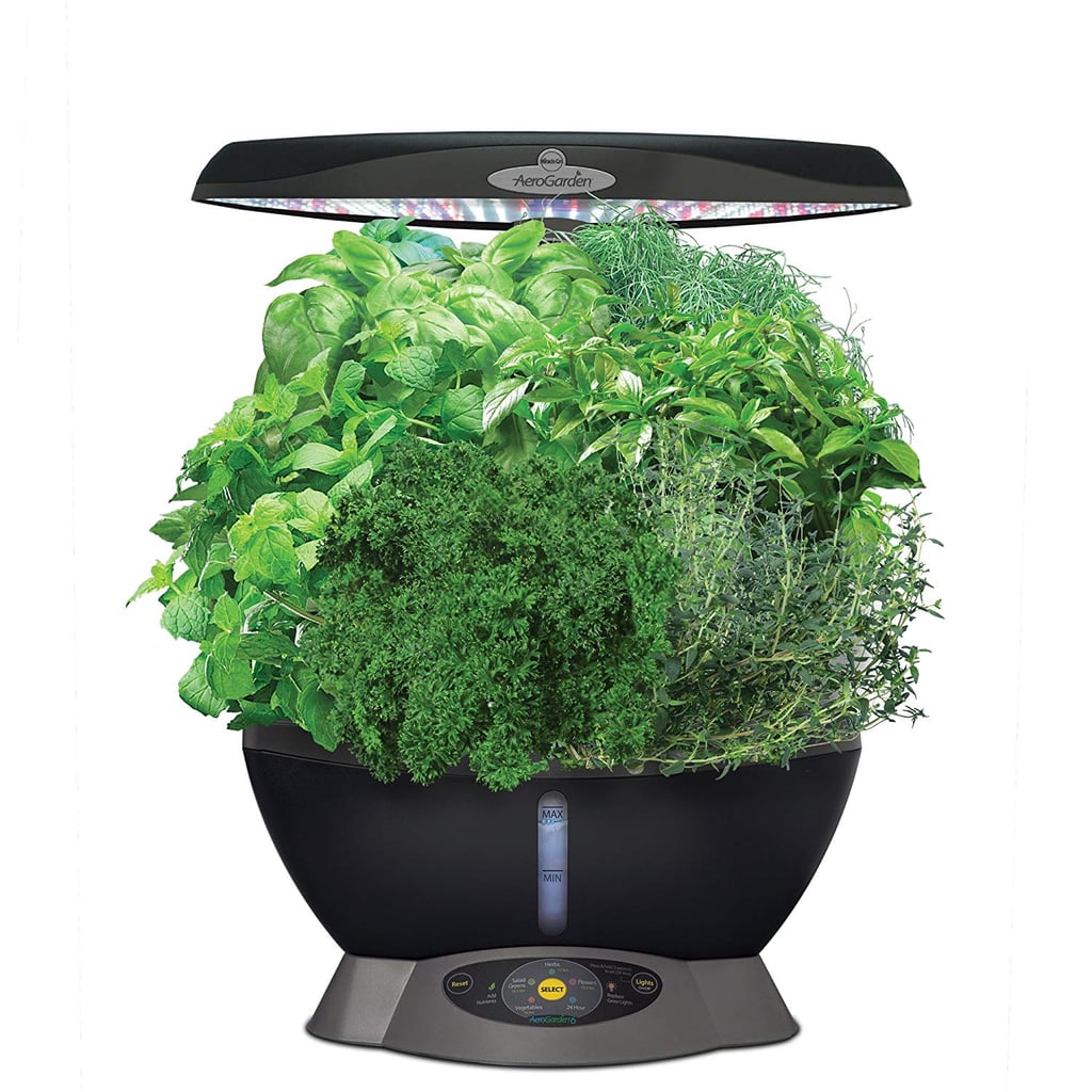 AeroGarden Classic 6 With Gourmet Herb Seed Pod Kit