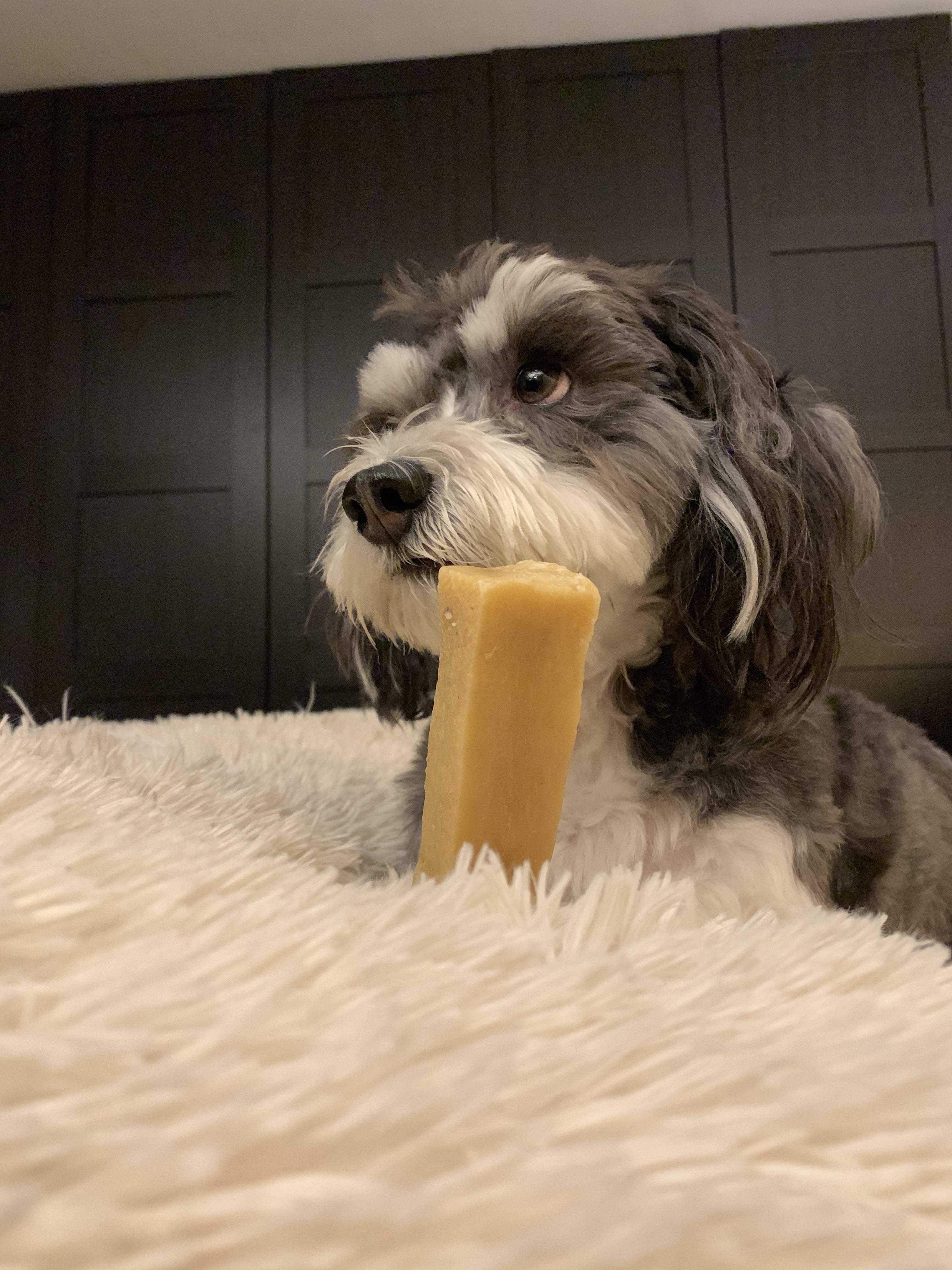 Himalayan dog treats pop sales bits