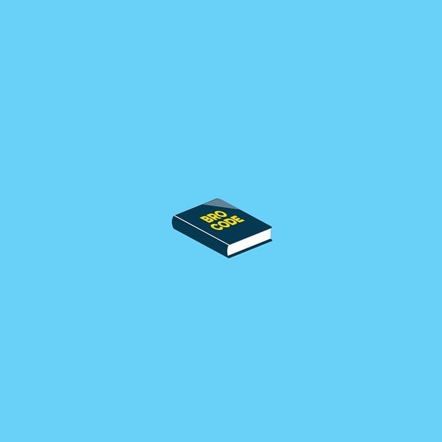 Bro Bible
