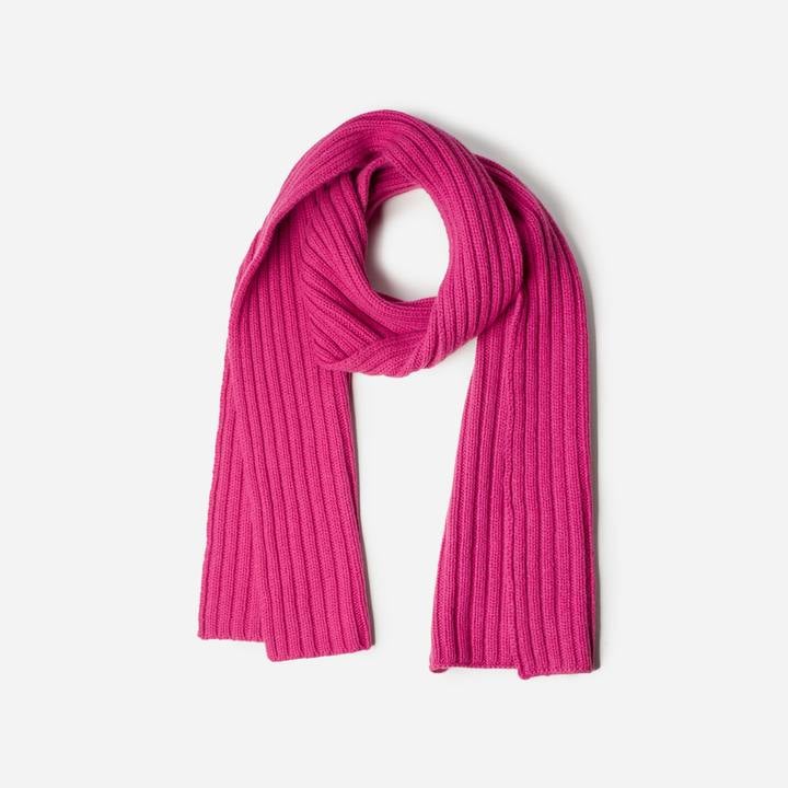 Everlane The Wool-Cashmere Scarf