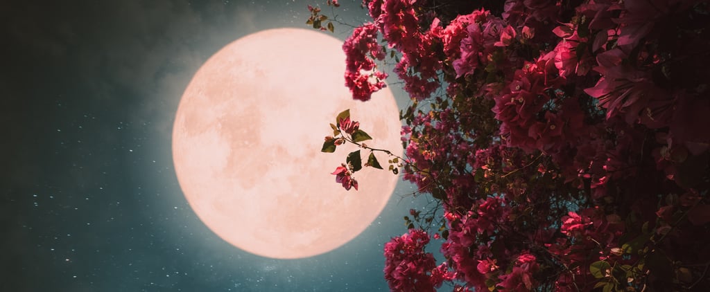 Pink Moon Spiritual Meaning 2024, According to Astrologer