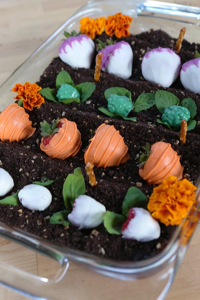 Edible Garden Cake