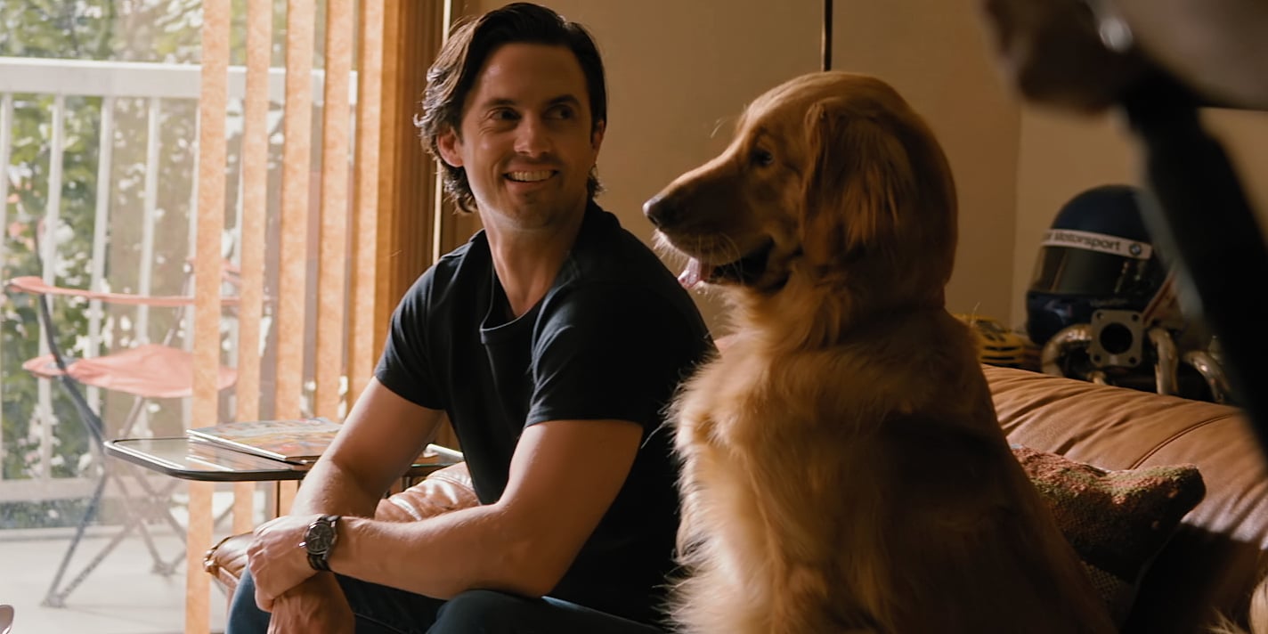 The Dogs in The Art of Racing in the Rain Movie Video | PS Entertainment