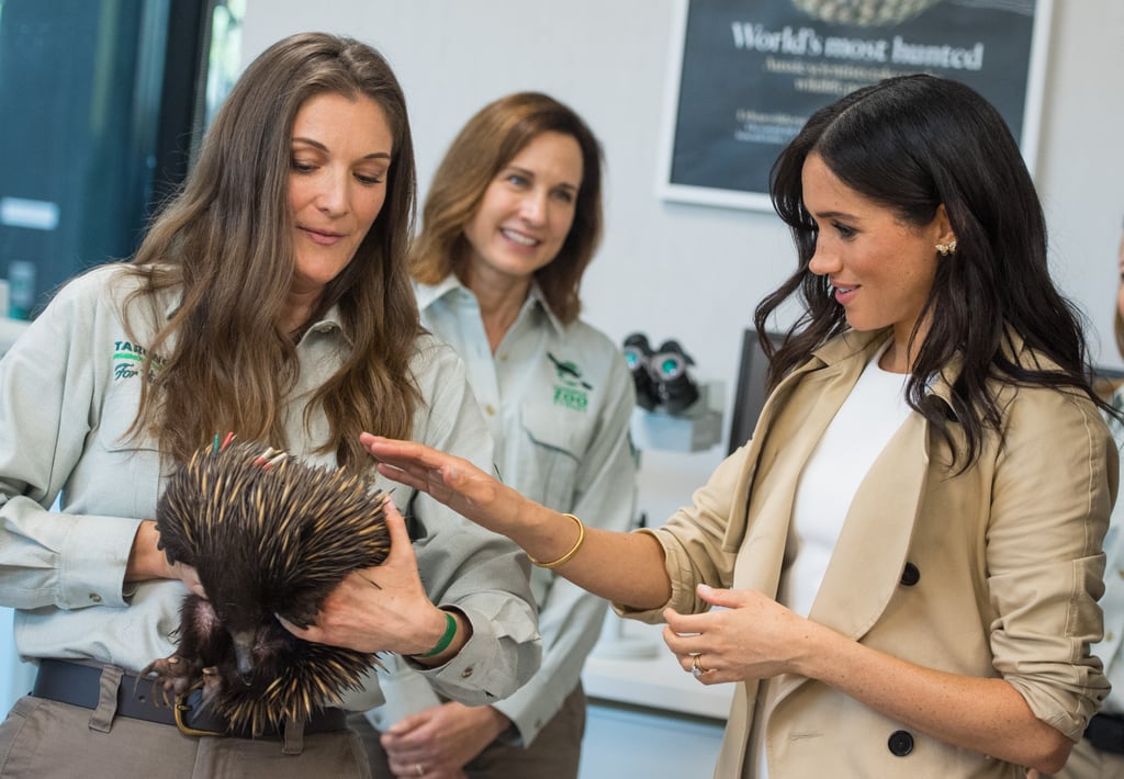 Meghan Markle With Animals Pictures