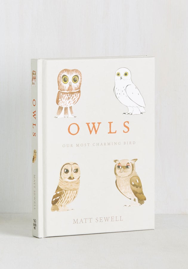 Owls: Our Most Charming Bird Book