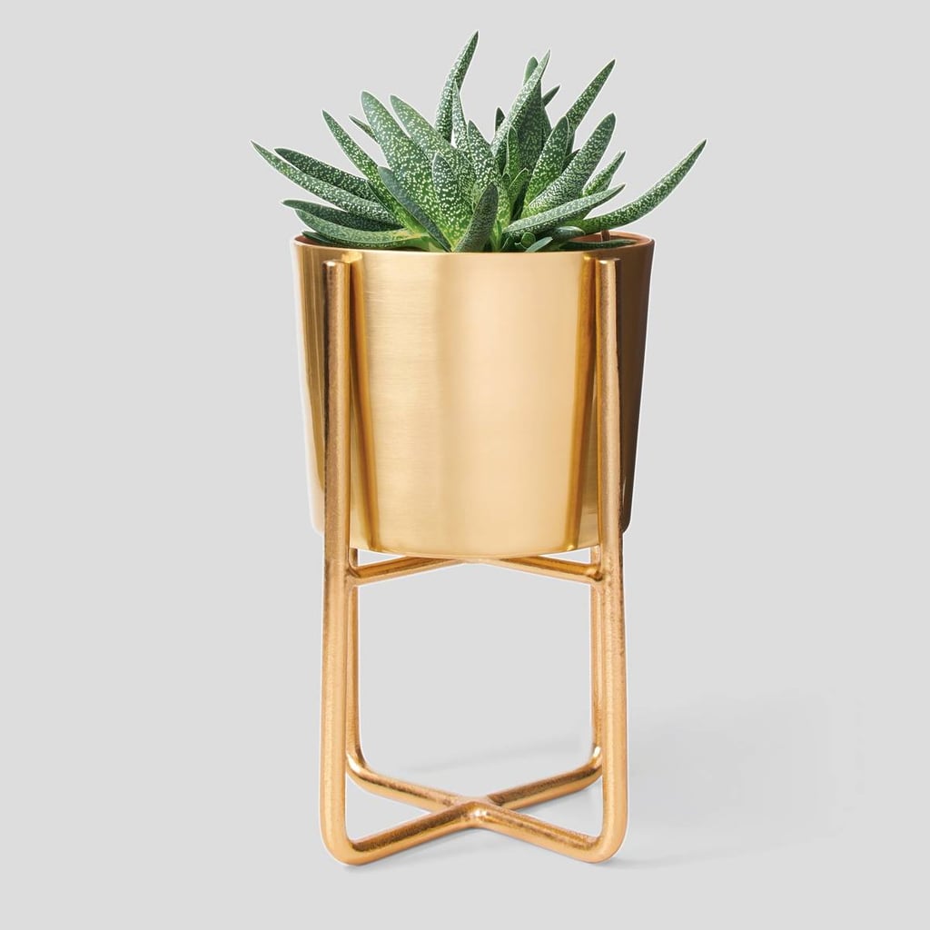 Project 62 Elevated Planter