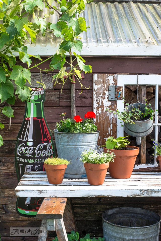 Potting Shed