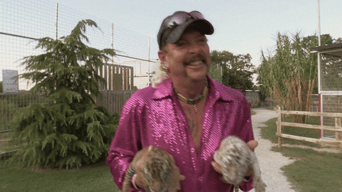 When . . . All of This Happened in 1 Image | Tiger King GIFs | POPSUGAR Australia Entertainment ...