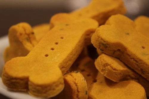 Wheat-Free Pumpkin Dog Biscuits
