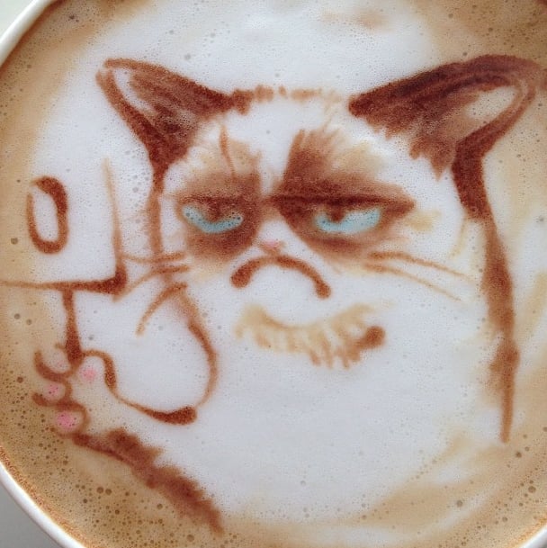 Grumpy Cat