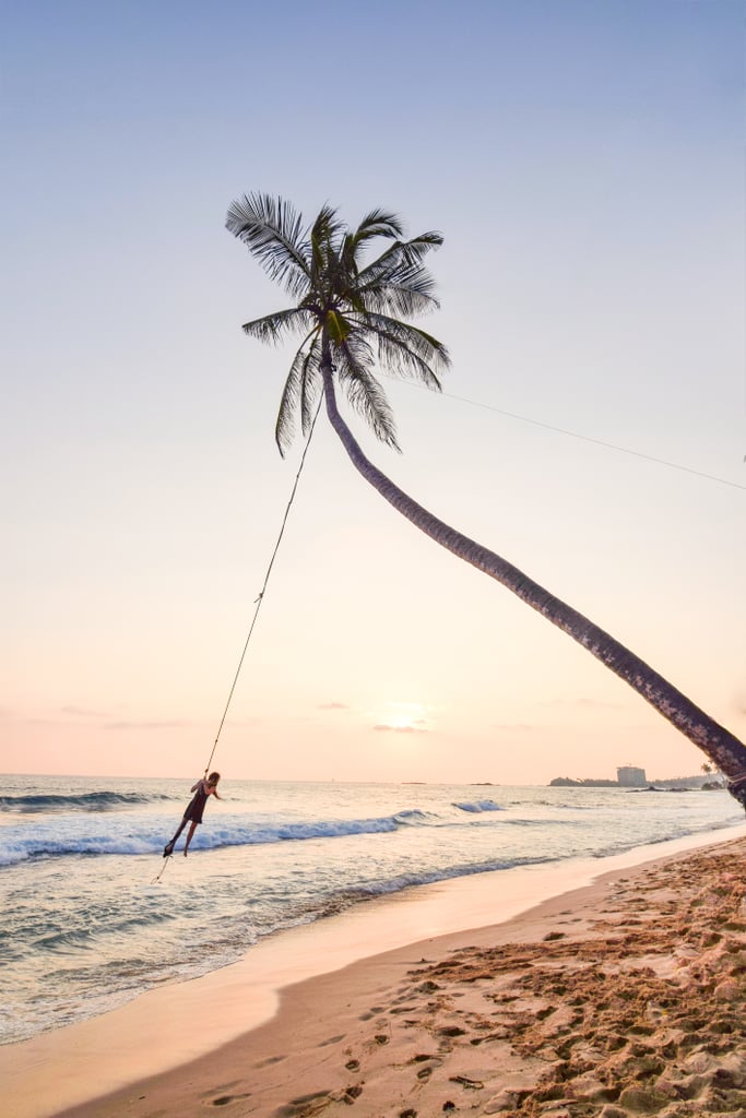 Palm Tree Swings