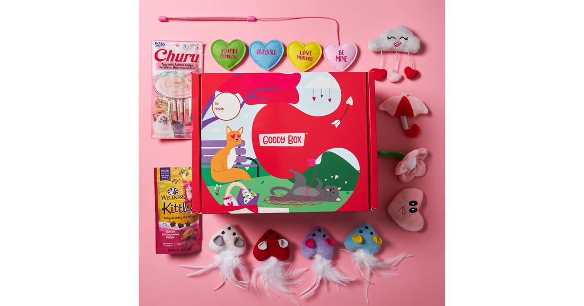 A Gift Box For Cats Goody Box Valentine's Cat Toys & Treats Best