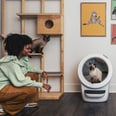 Comparing the Viral Litter-Robot 4 to Amazon's Top-Rated Meowant Litter Box