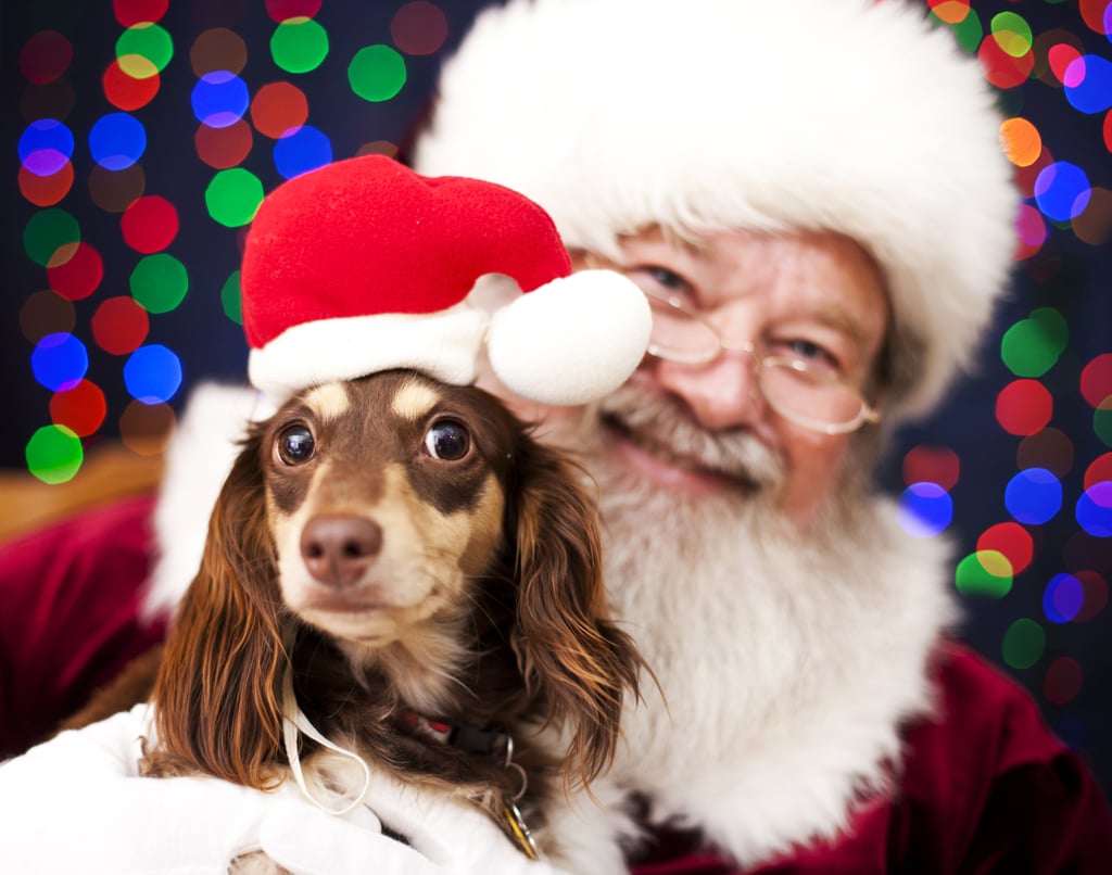 The CUTEST Christmas Card Ever