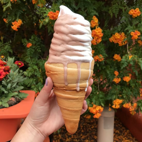 Disneyland's Cozy Cone Ice Cream Hack