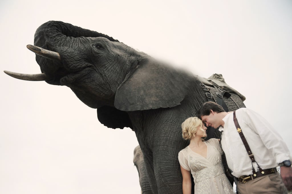 South African Safari Wedding With Elephants