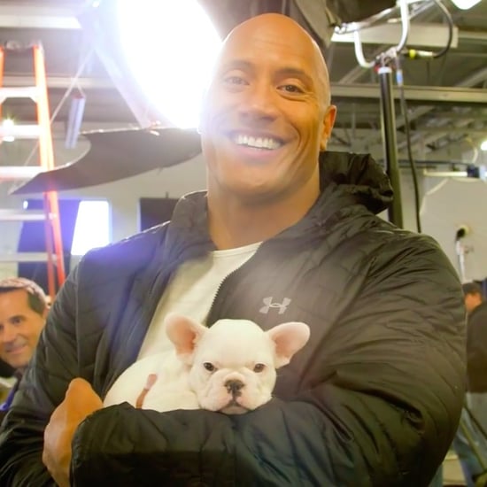Dwayne Johnson Playing With Puppies Video