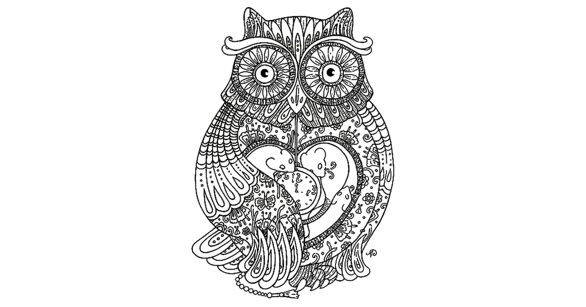 Get the coloring page: Owl | Free Coloring Pages For Adults | POPSUGAR