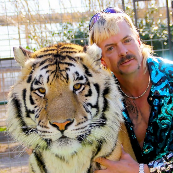 Best Tiger King Beauty Memes