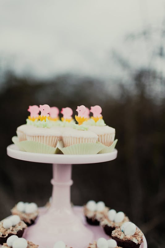 Cute cupcake toppers and a coordinating color palette gave the spread a festive, cohesive look.
Source: Kaylee Eylander Photography via Jenny Cookies