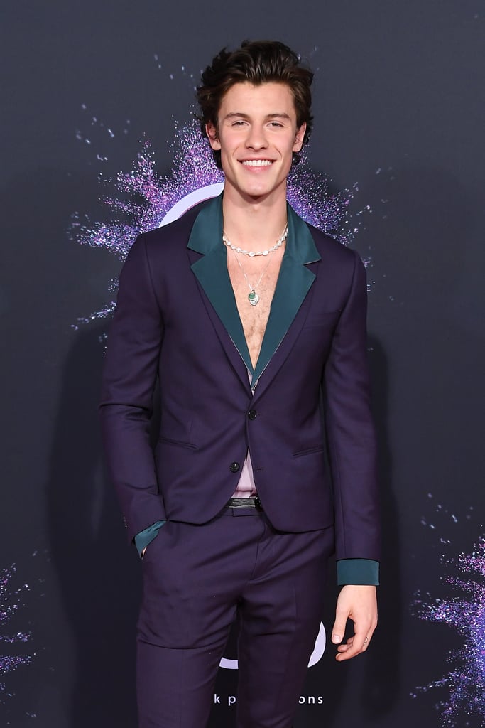 Shawn Mendes Wears an Indigio Suit and Necklaces to the AMAs