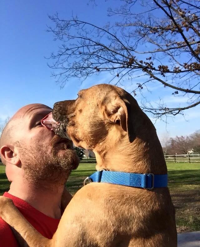 Pit Bull Rescued From Fighting Life