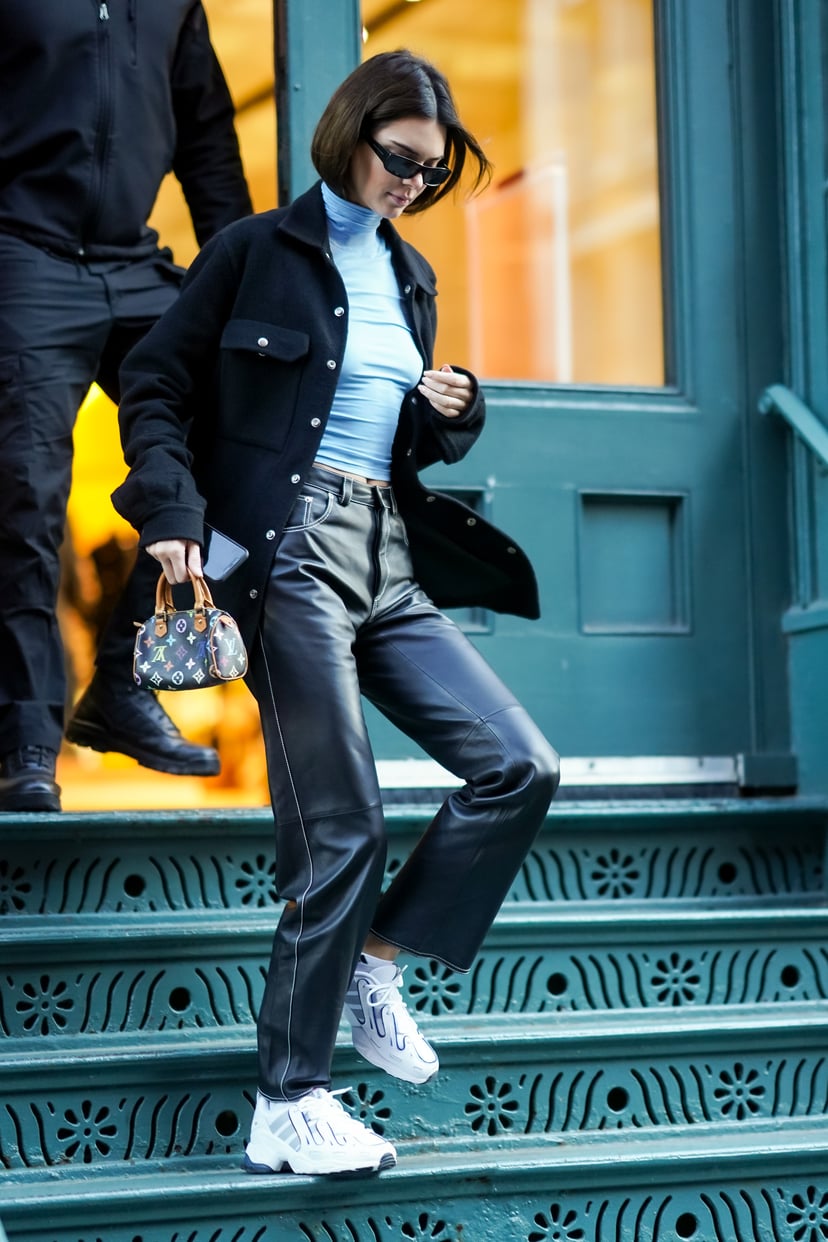 Kendall Jenner's Baby Louis Vuitton Is Back Out to Play, and