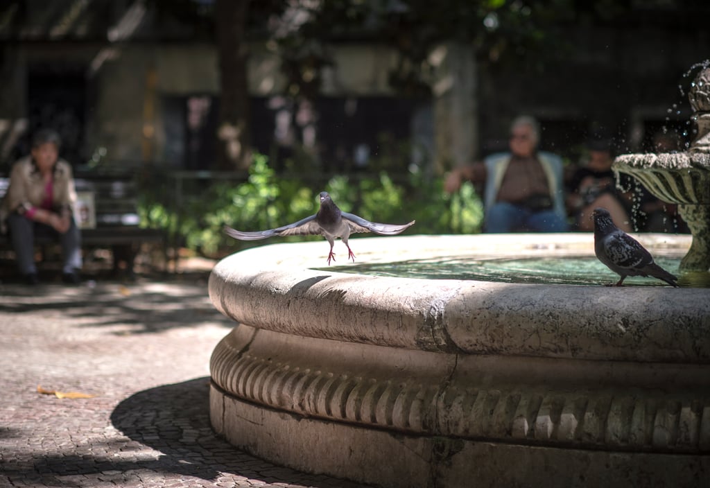 Make wishes in a fountain. Make wishes in a fountain.