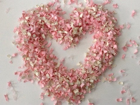 Bridal Shower Blush Confetti