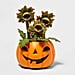 Halloween Succulents From Target