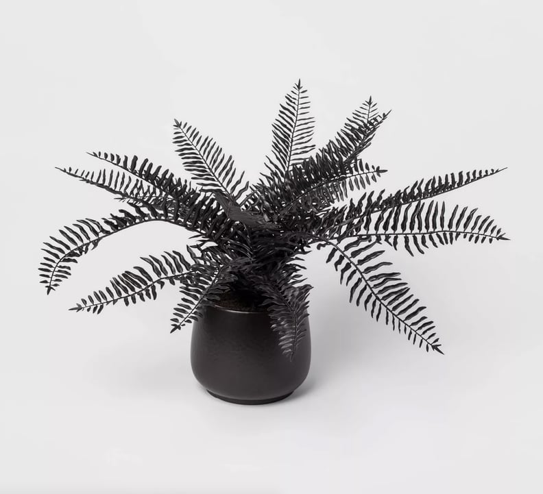 Shop Target's 28" x 16" Artificial Black Fern Arrangement in Ceramic Pot Black