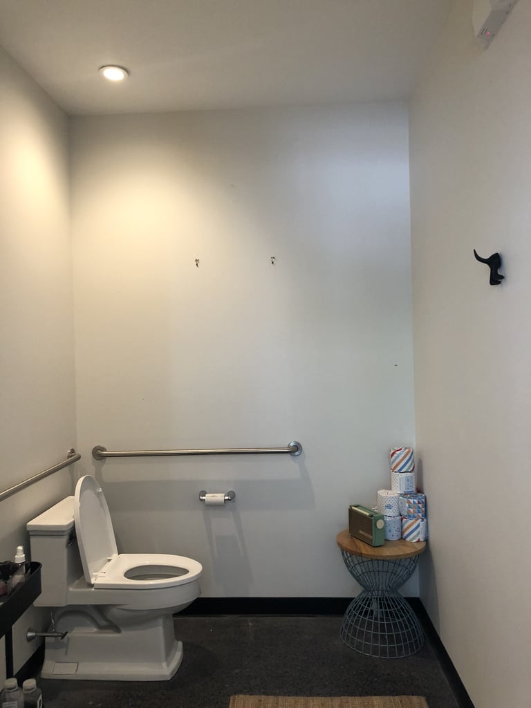 Before: Toucan Bathroom