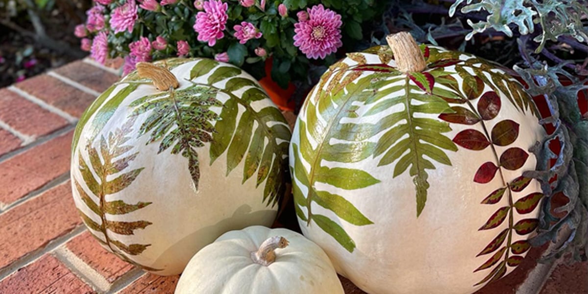 How to Make a DIY Pressed-Flower Pumpkin - Vimarsana News