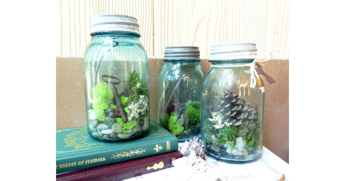 Terrarium Uses For Mason Jars POPSUGAR Smart Living Photo 5