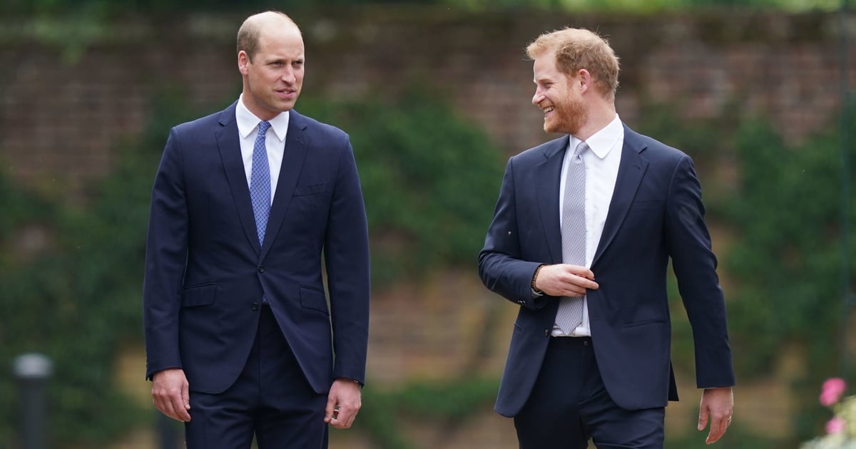 Prince Harry and Prince William Unite For Princess Diana's Legacy Award Recipients