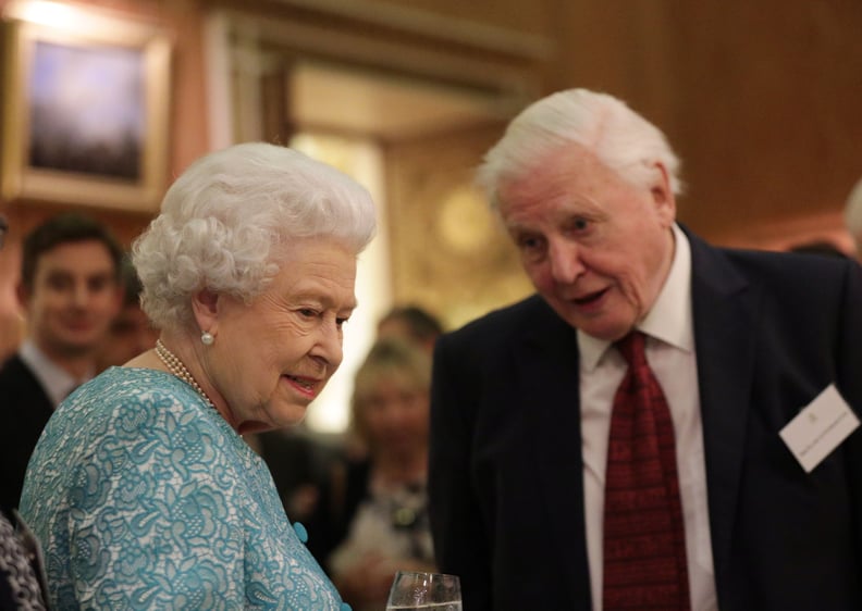 LONDON, ENGLAND - NOVEMBER 15:  Queen Elizabeth II and Sir David  Attenborough attend a reception to showcase forestry projects that have been dedicated to the new conservation initiative The Queen's Commonwealth Canopy (QCC) at Buckingham Palace on Novem