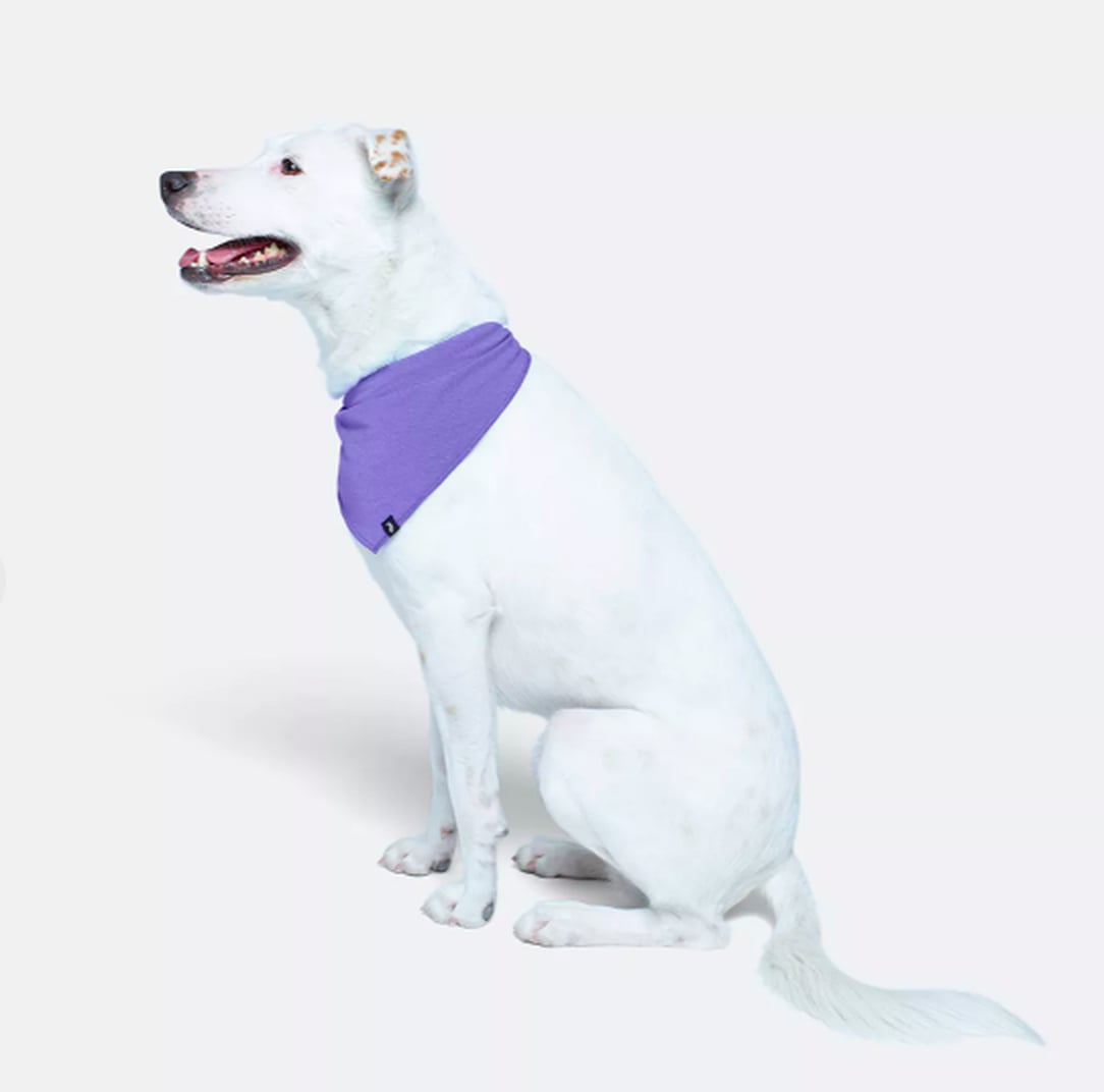 MeUndies's Dog Clothing Line POPSUGAR Family